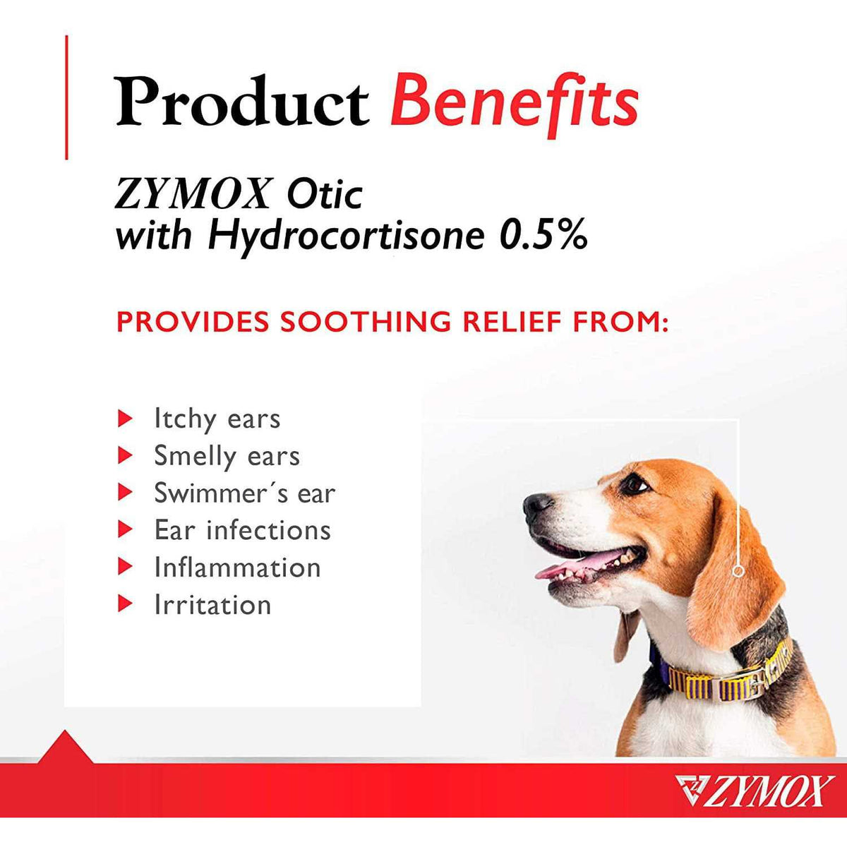 Ear Solution with Hydrocortisone E6913