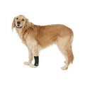 Dog Wrap Large/X-Large H316542