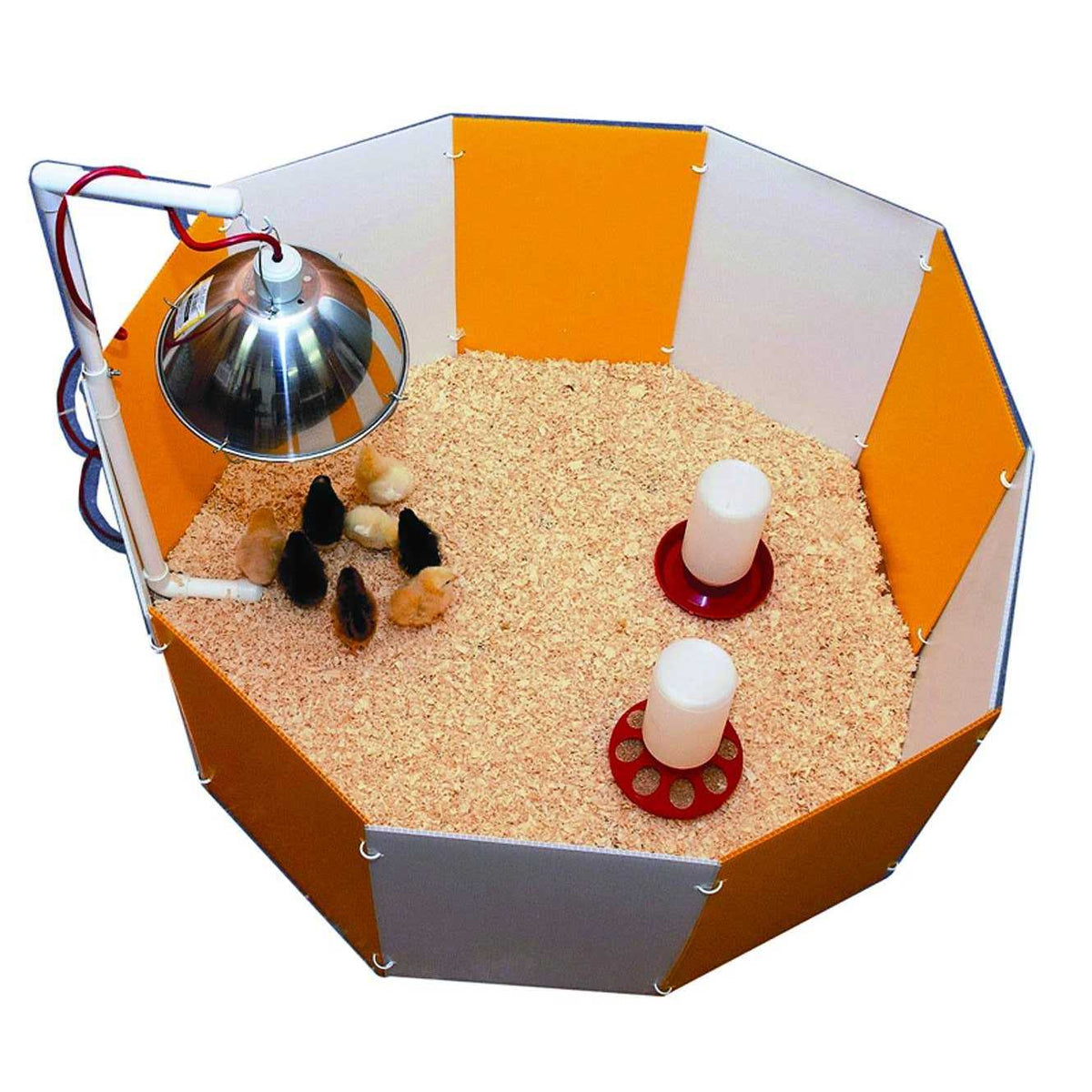 Baby Chick Starter Home M957