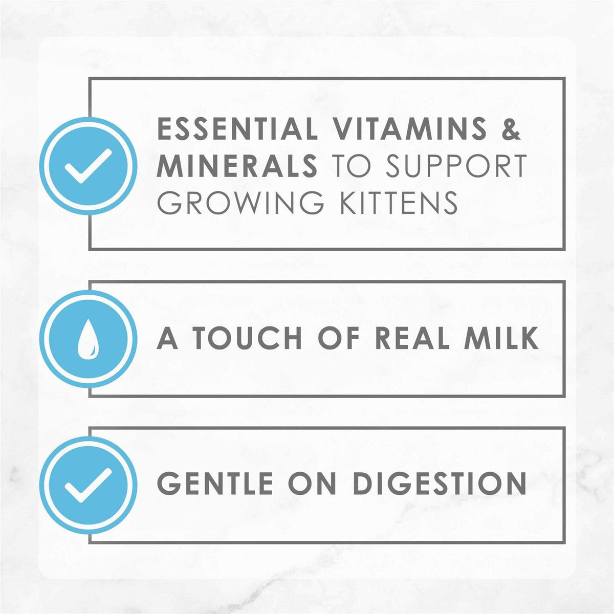 Grain Free Pate Wet Kitten Food H9911