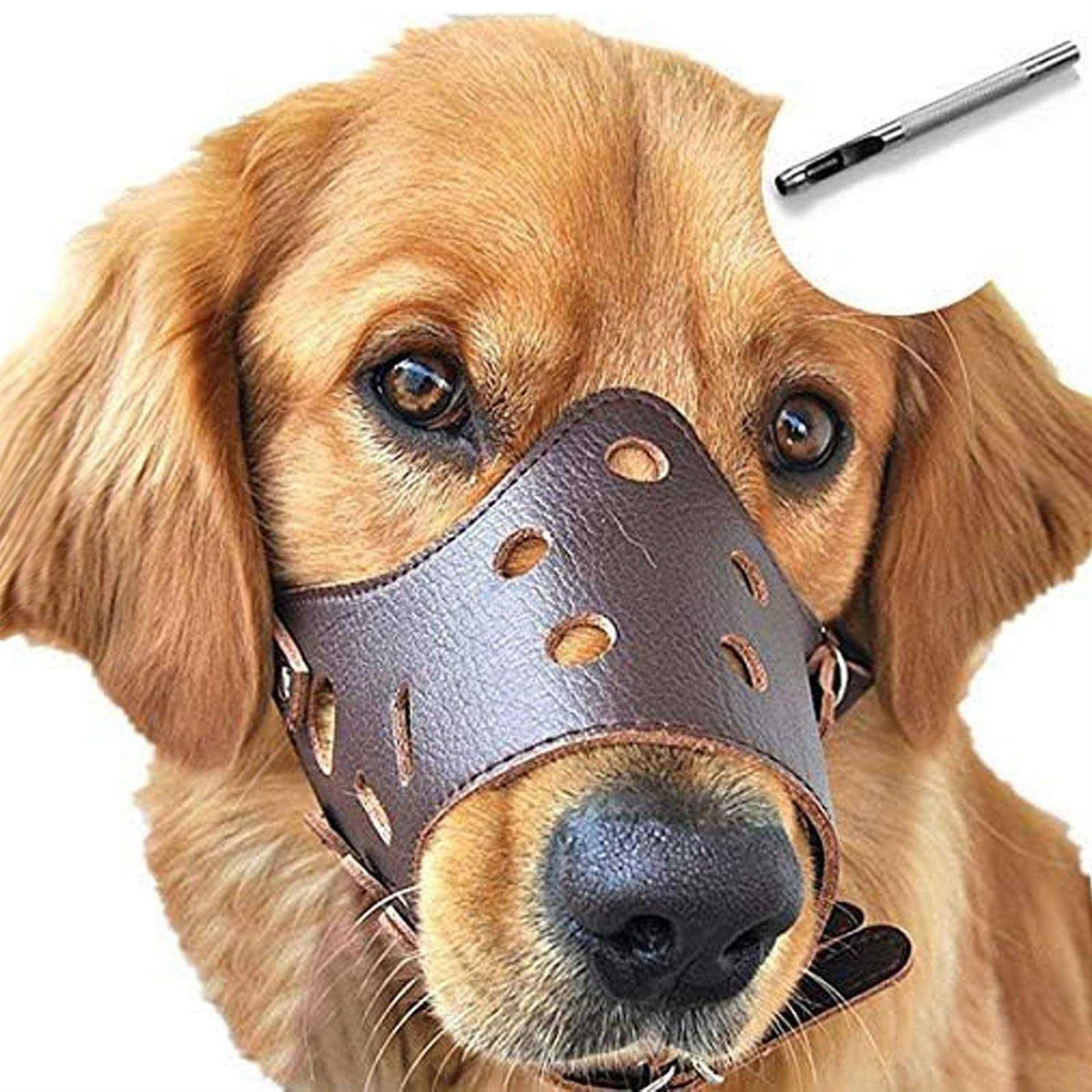 Leather Dog Muzzle C151