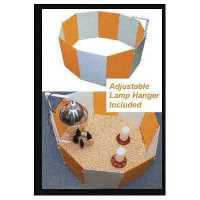 Baby Chick Starter Home M957