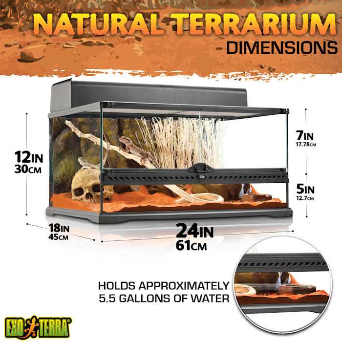 Glass Terrarium P885