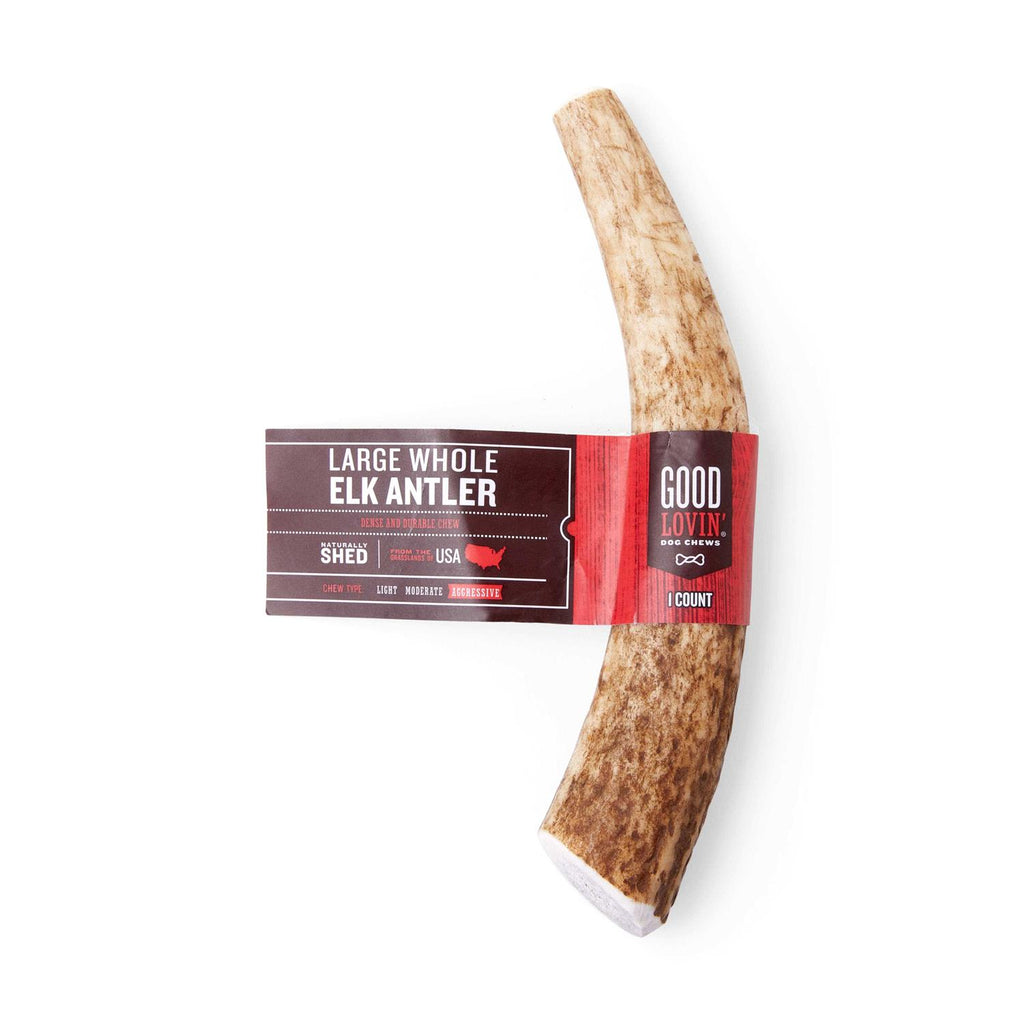 Whole Elk Antler Dog Chew U433