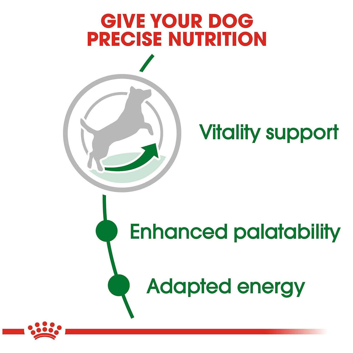 Dry Dog Food I93817