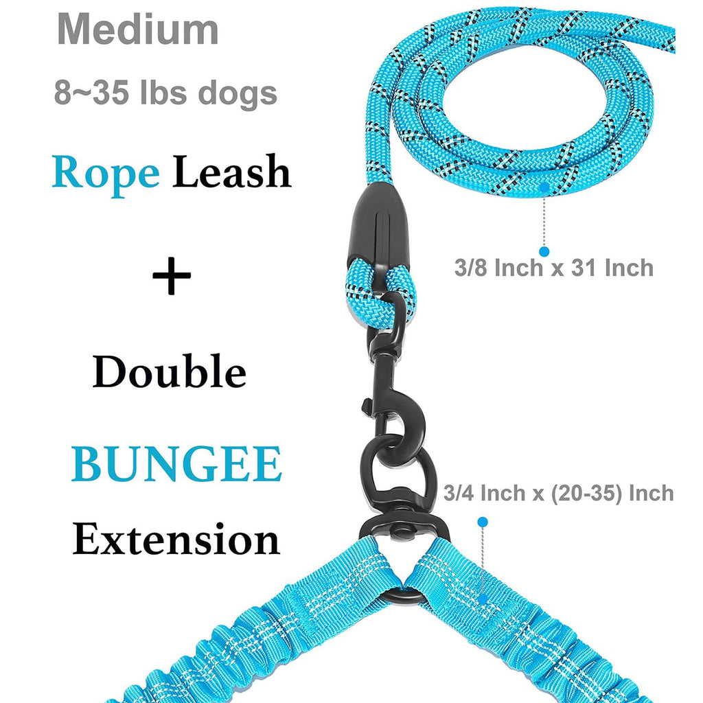 Double Dog Leash 360 Swivel No Tangle Q66606
