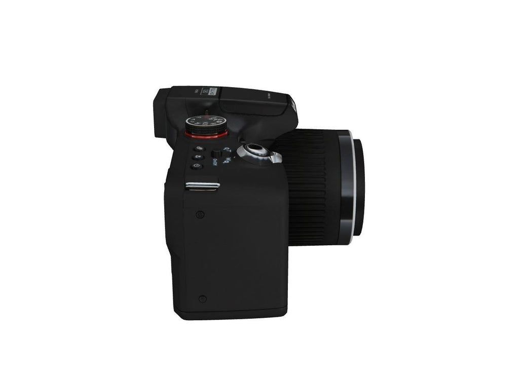 Black 12 Megapixel Bridge Camera S6339