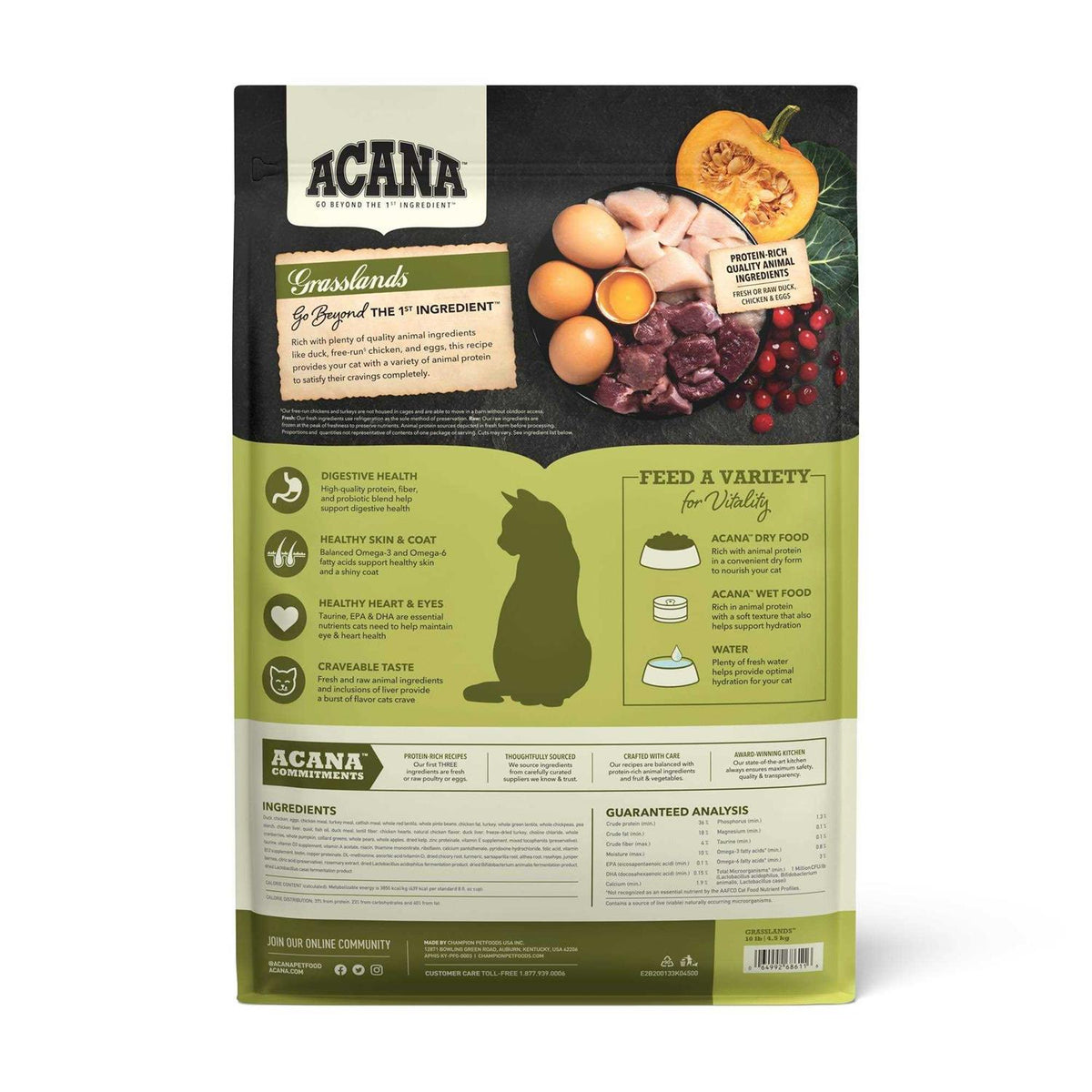 Dry Cat Food N156