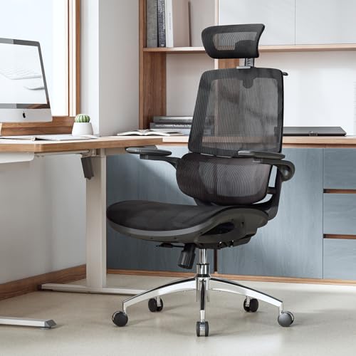 Ergonomic Office Chair with 3D Flip-up Armrests and Dual Back Design K532