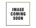 GAS Spring E33683