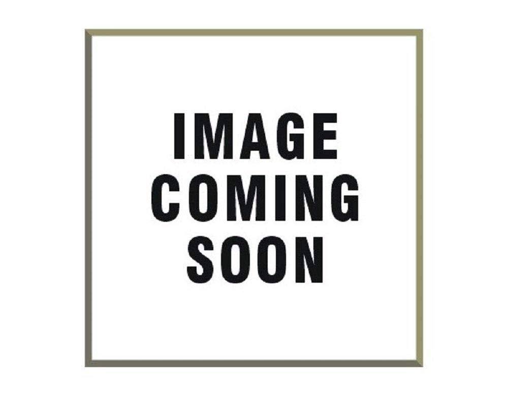 GAS Spring E33683