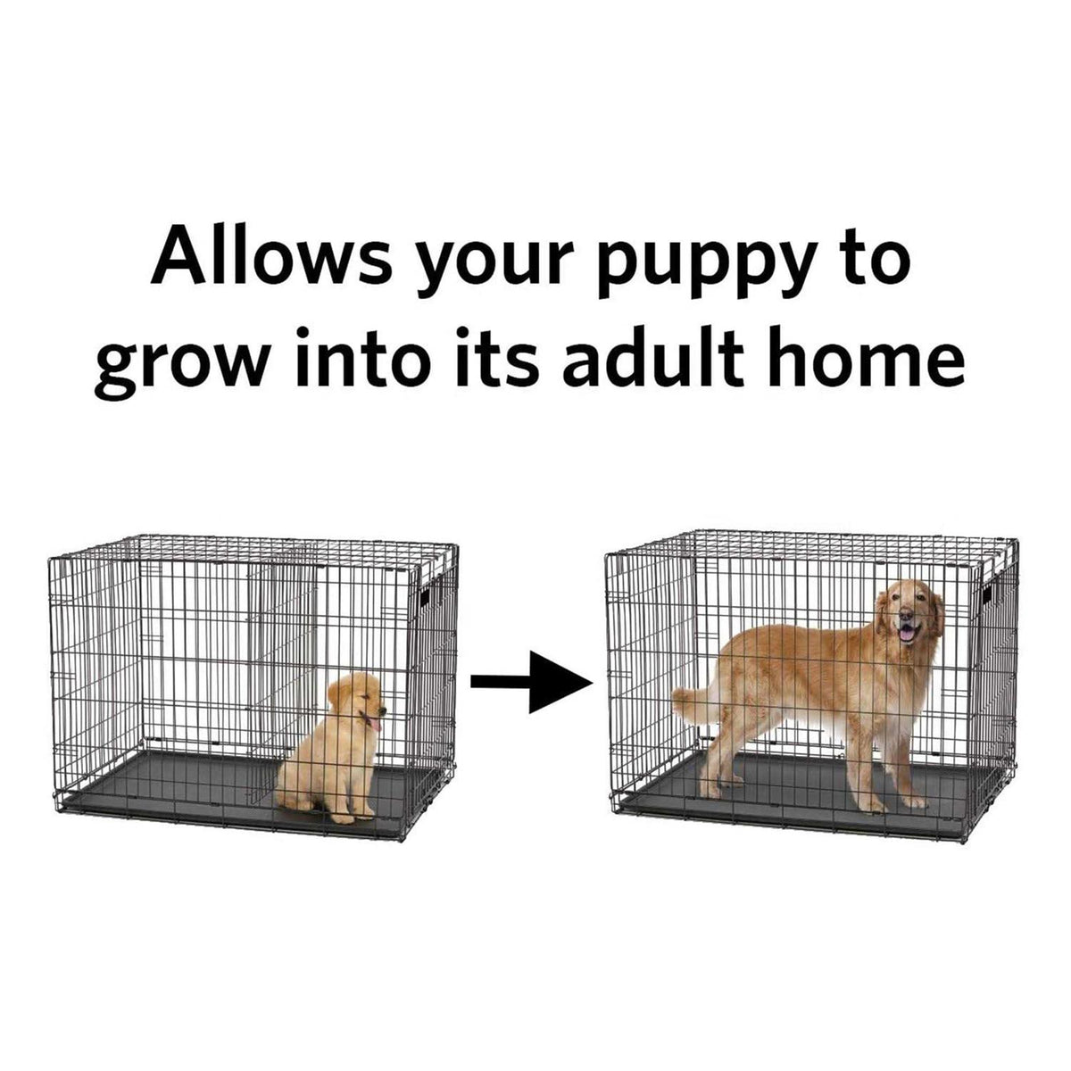Pet Divider Panel R225985