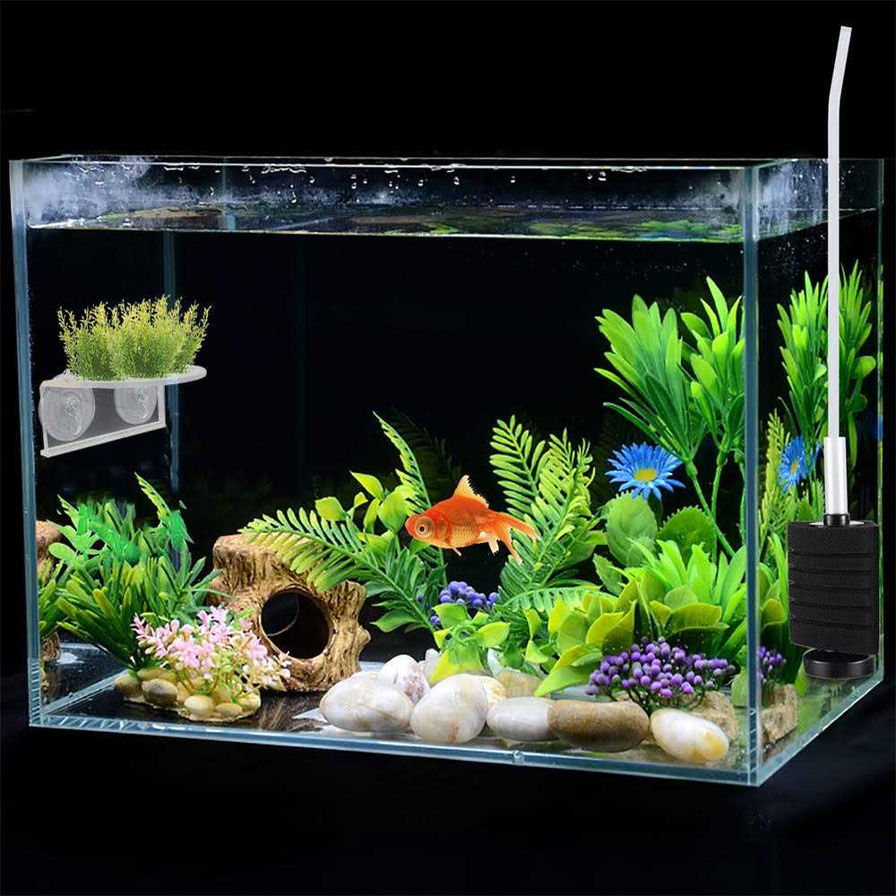 Transparent Acrylic Aquarium Shelf with Suction Cups O112
