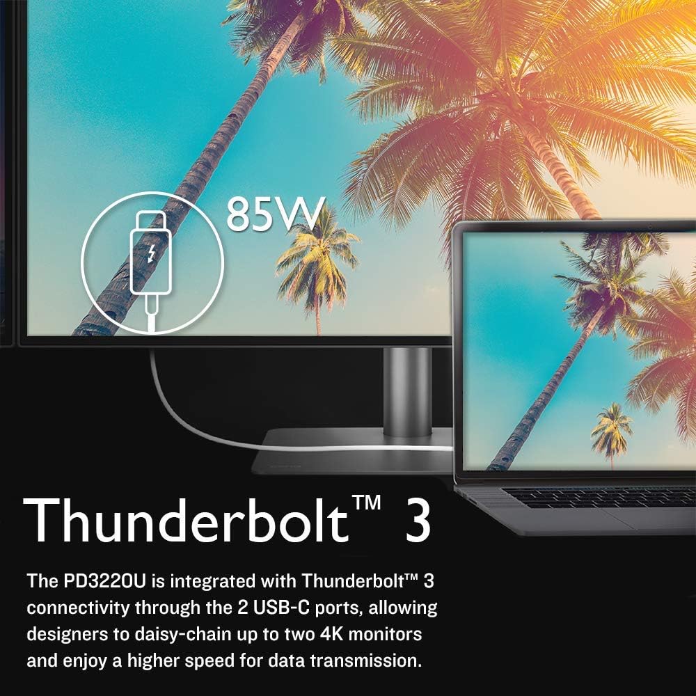 32 inch 4K IPS Monitor with Thunderbolt 3 S8117
