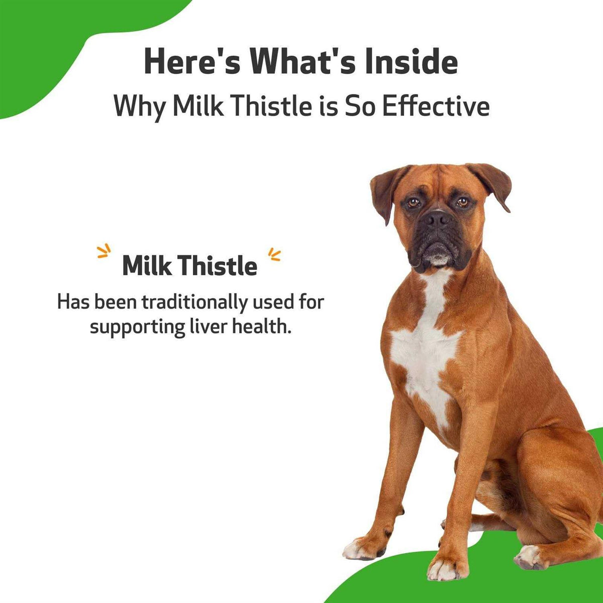 Milk Thistle for Dogs L305972