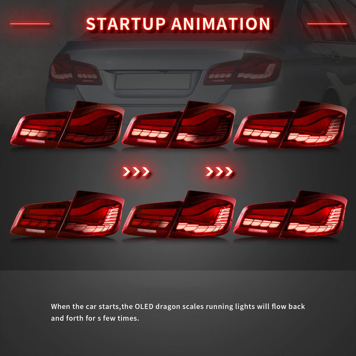 OLED Tail Lights with Sequential Turn Signal W42517