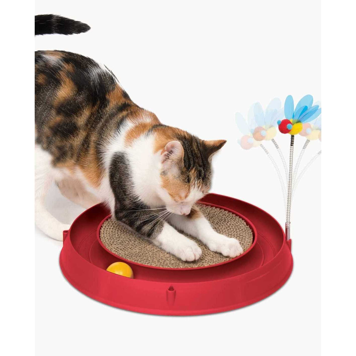 Circuit Ball Cat Toy D7947
