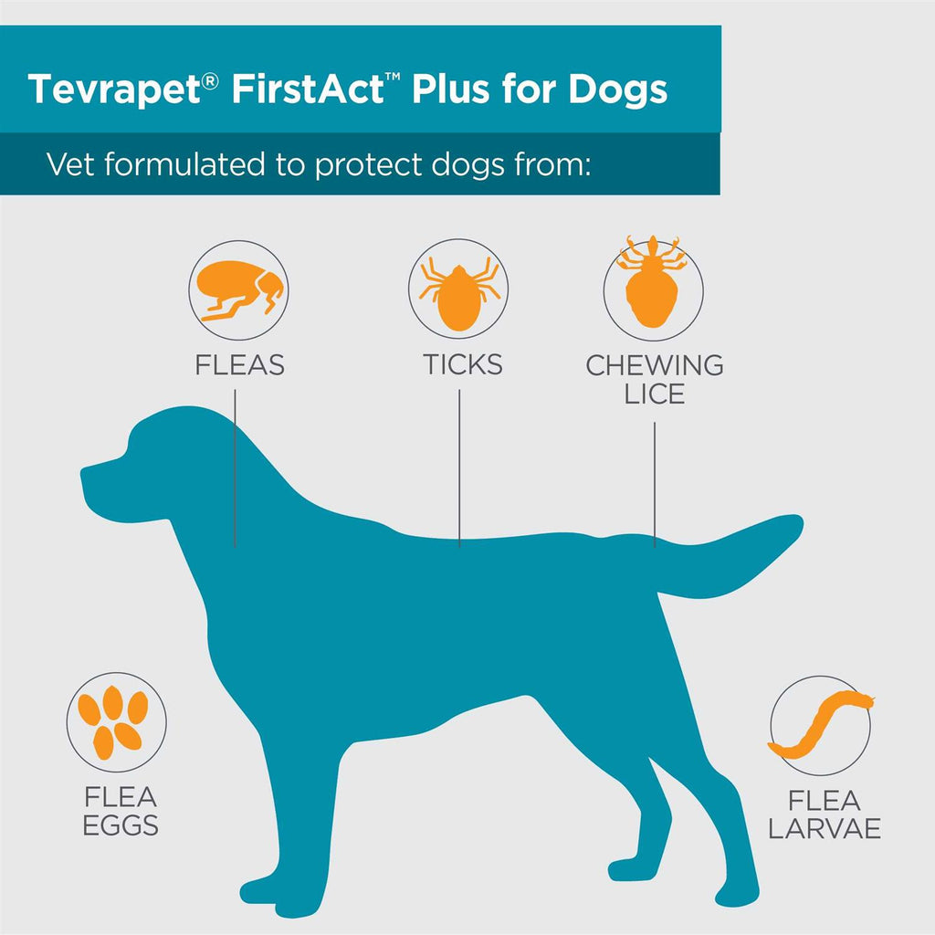 Flea and Tick Prevention Dogs Q16696