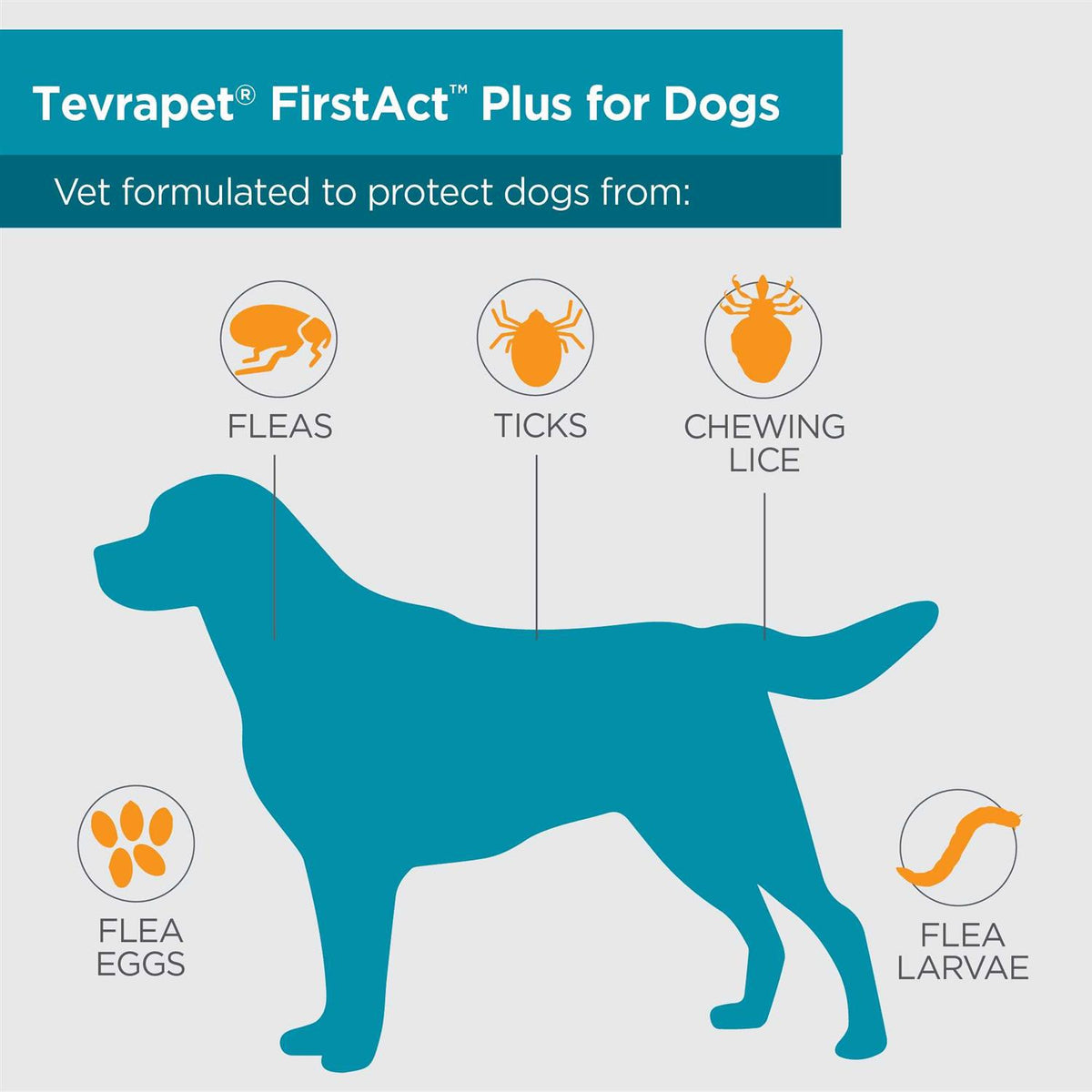 Flea and Tick Prevention Dogs Q16696