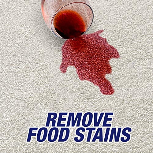 32oz Pet Odor and Stain Remover Spray R755673