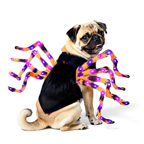 LED Spider Dog Halloween Costume with Multicolor Lights E433099