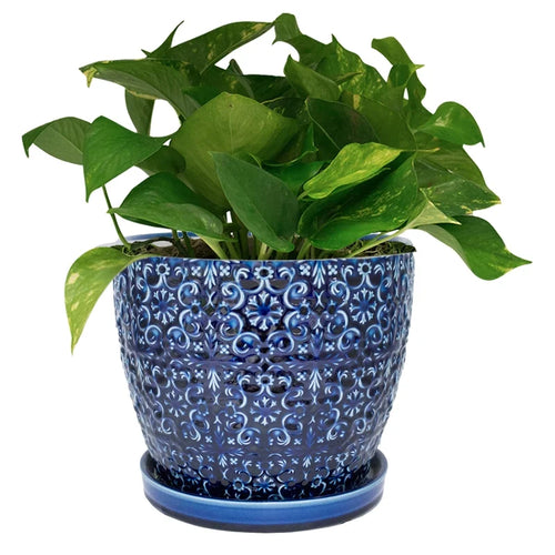 10" Round Blue Ceramic Planter B30731