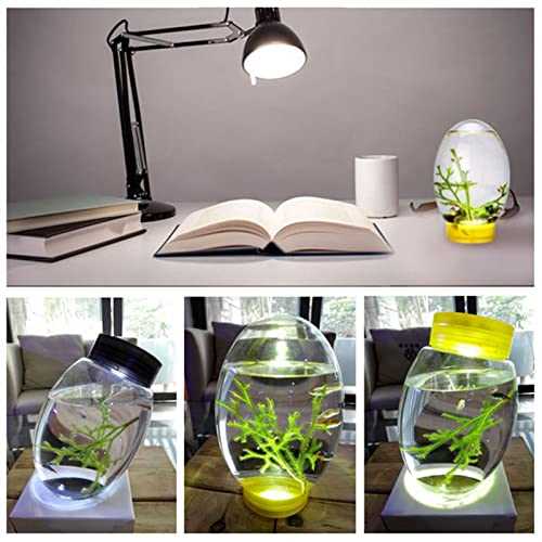 Mini Ecological Fish Tank with Led Base G3202