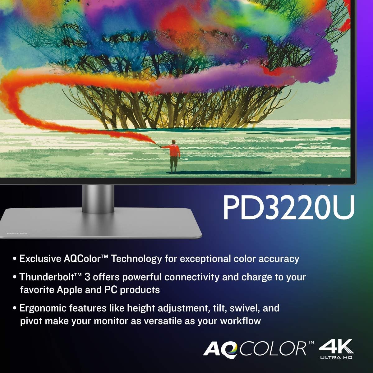 32 inch 4K IPS Monitor with Thunderbolt 3 S8117