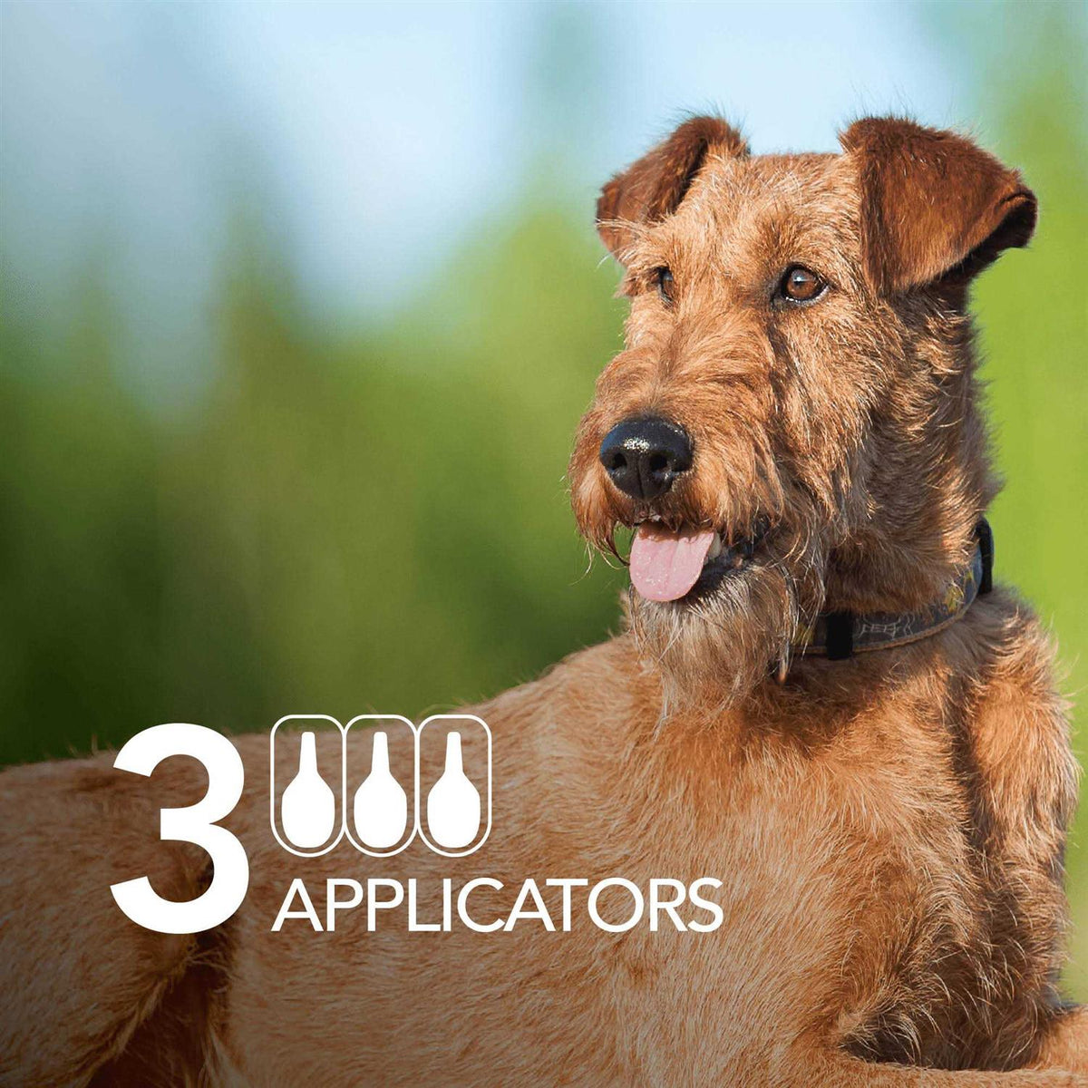 Flea and Tick Prevention Dogs Q16696