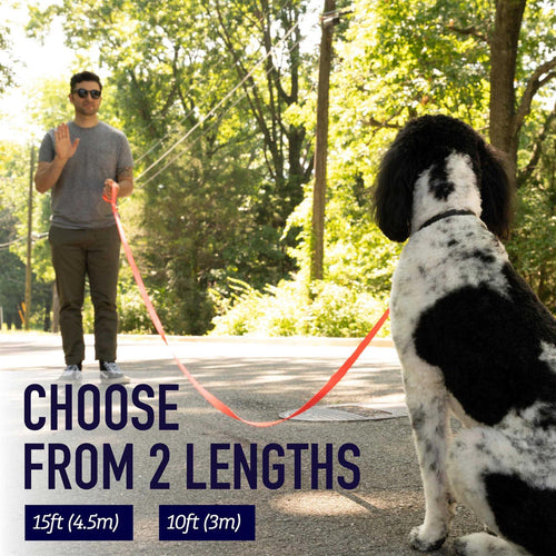 10 Foot Dog Leash with Padded Handle V4497