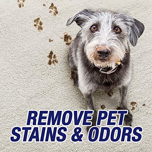 32oz Pet Odor and Stain Remover Spray R755673