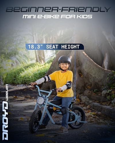 Electric Mini Bike, 200W Motor, 2 Speed Settings, 24V 8Ah Battery, Rear Disc Brake, 15" Tires E82969