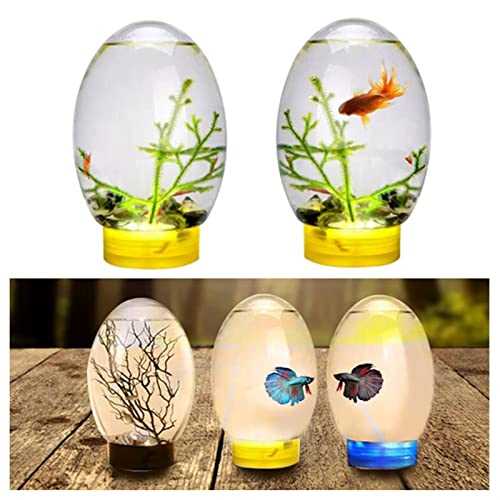 Mini Ecological Fish Tank with Led Base G3202
