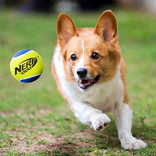 2.5 Inch Three Pack Dog Toy Tennis Ball with Squeaker L769313