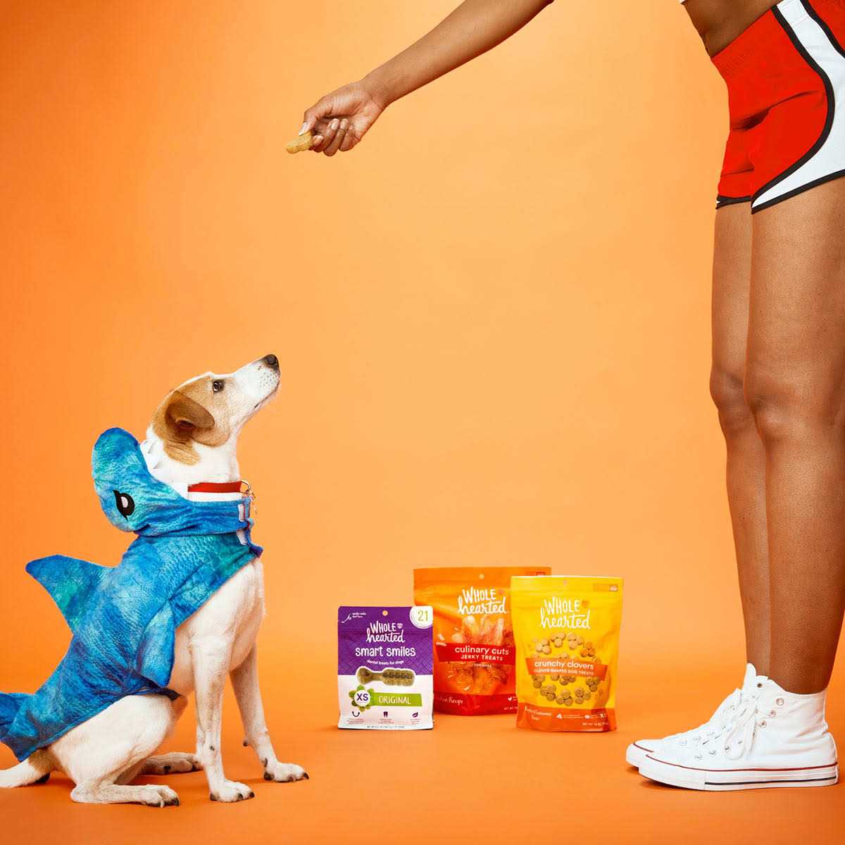 Chicken Recipe Jerky Dog Treats K351