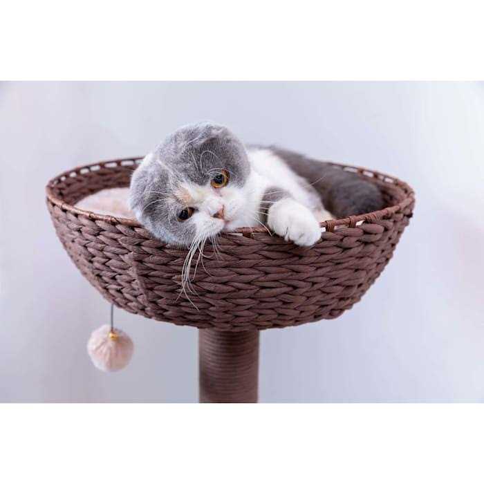 Pharaoh and Brown Cat Tree R834062