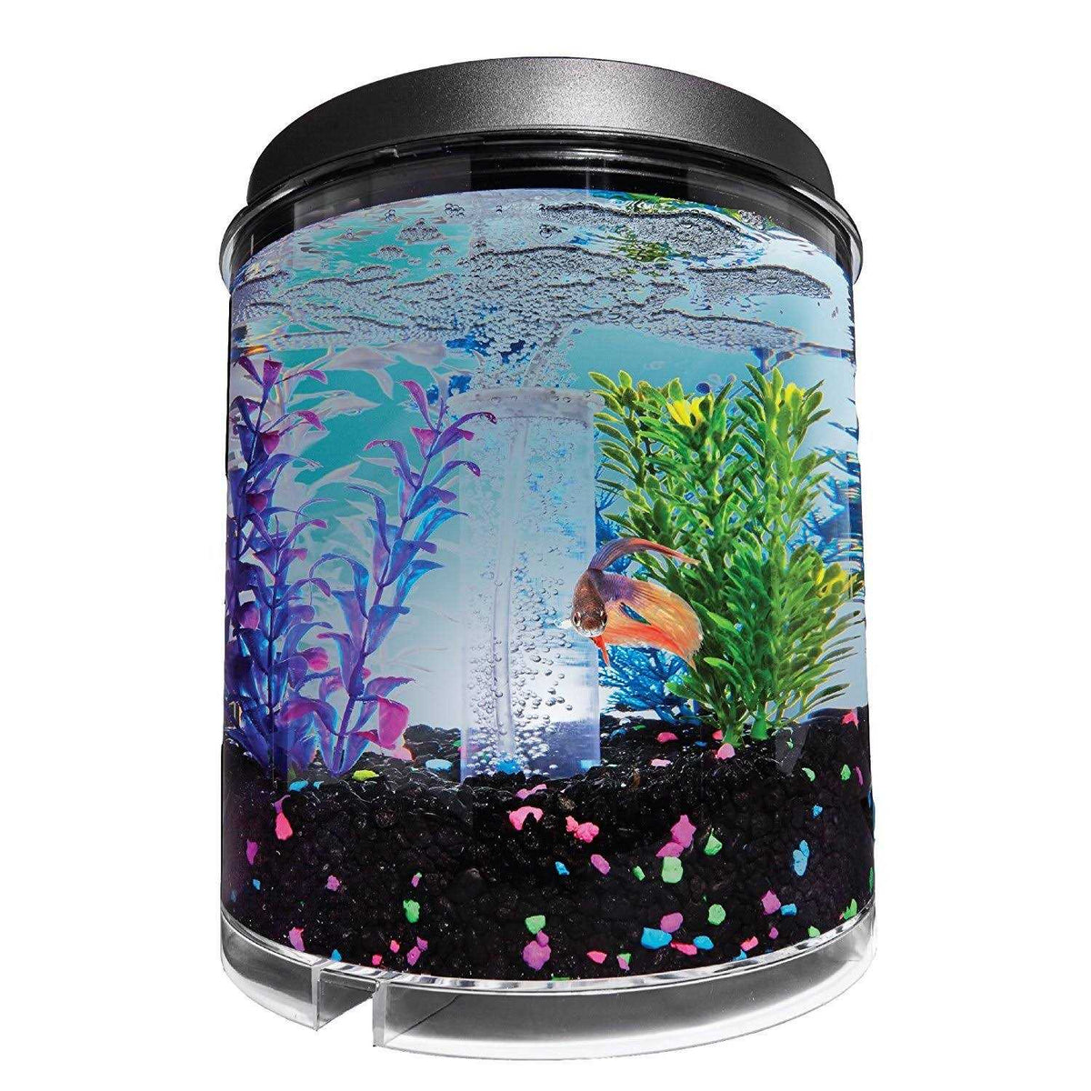 2 Gallon Tank F68958