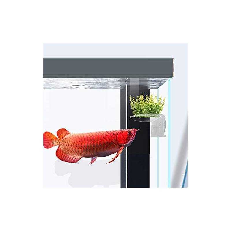 Transparent Acrylic Aquarium Shelf with Suction Cups O112