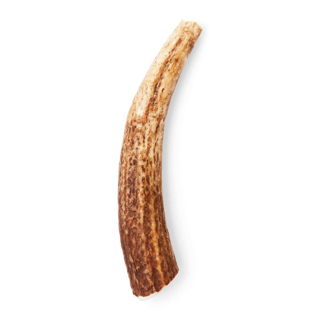 Whole Elk Antler Dog Chew U433
