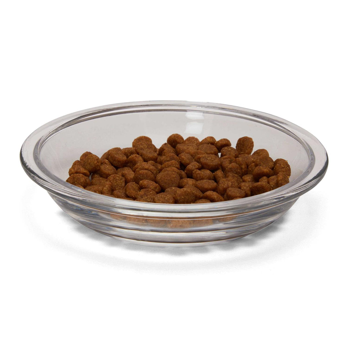 Glass Insert Cat Bowl X264