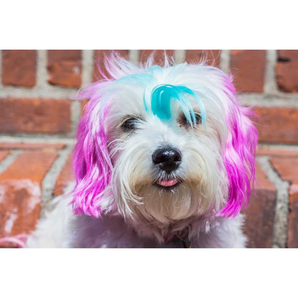 Semi Perm Coat Color Shampoo for Dogs F454