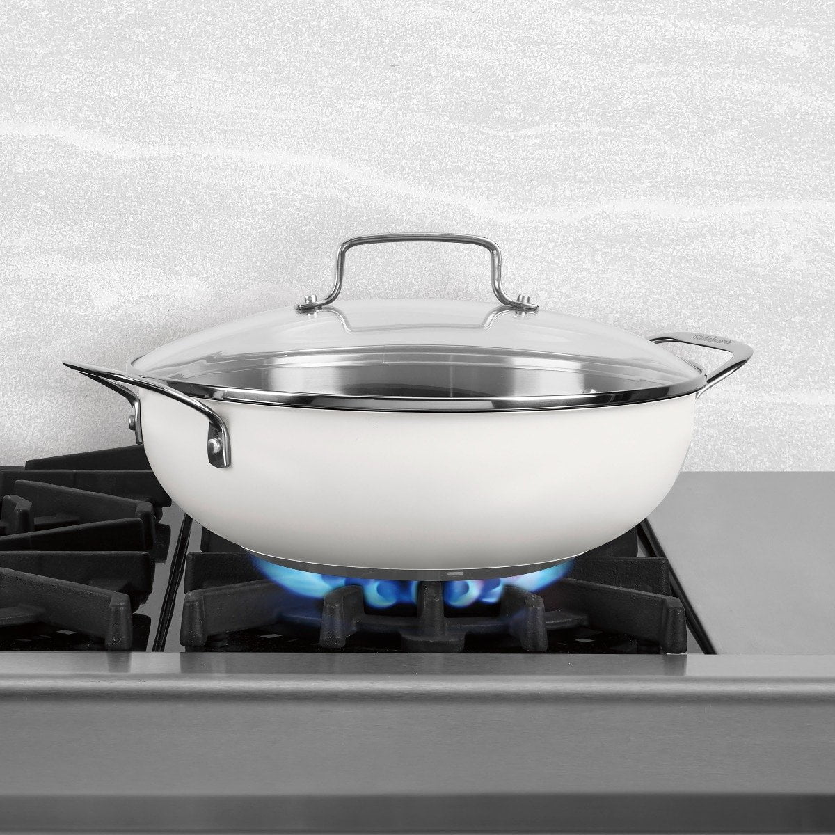 Matte White Stainless Steel All Purpose Pan with Cover D692