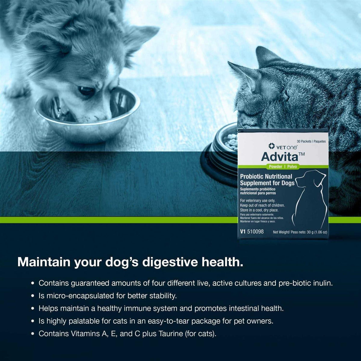 Probiotic Nutritional Supplement for Dogs X3889