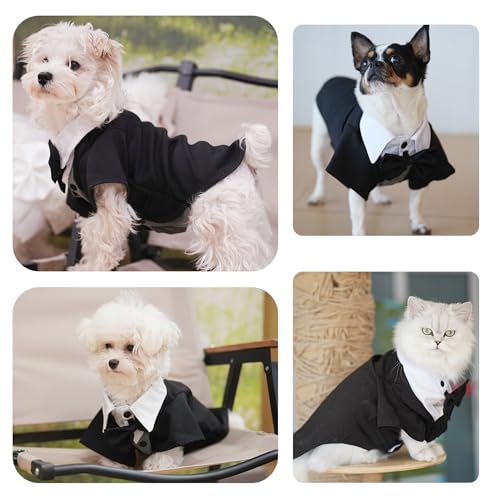 Dog Tuxedo Collar Bandana with Bow Tie V9532