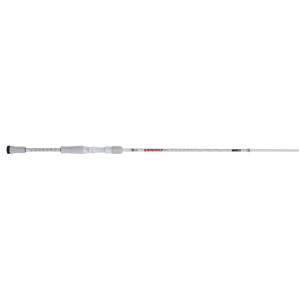Casting Rod C342