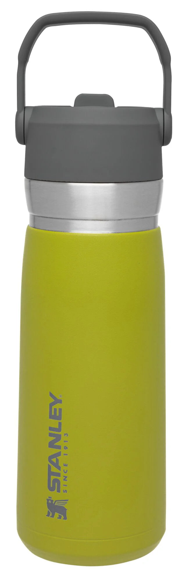 22 oz Insulated Stainless Steel Water Bottle with Straw and Flip-Top Lid X940225