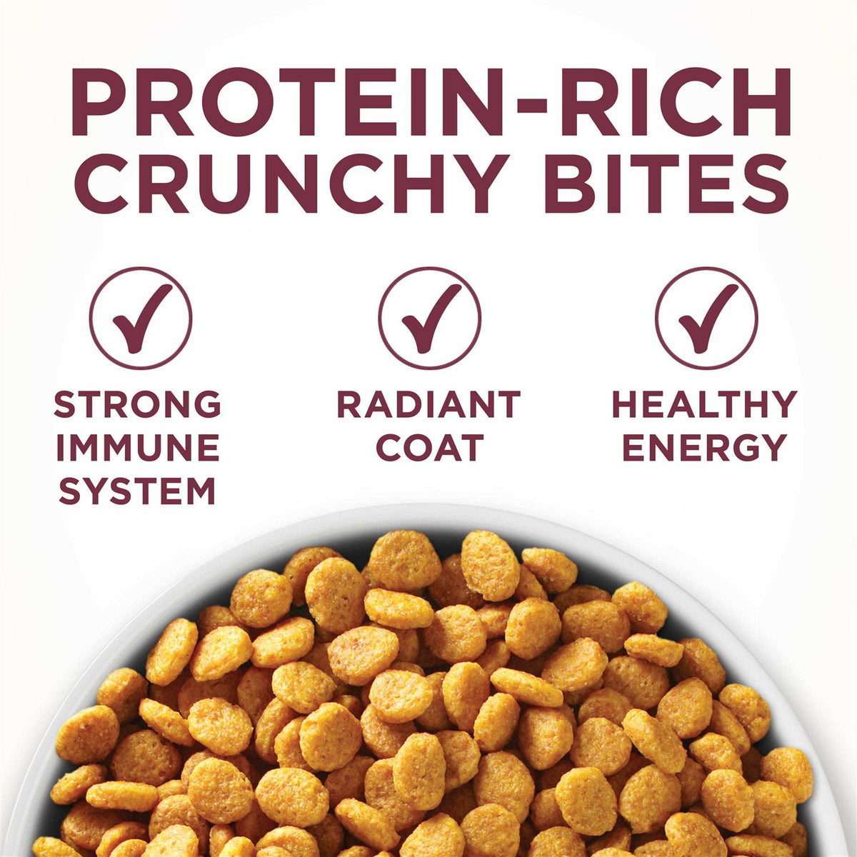 Dry Cat Food L9531