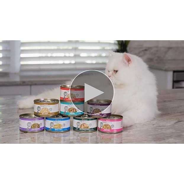 Beef & Pumpkin Canned Cat Food A197