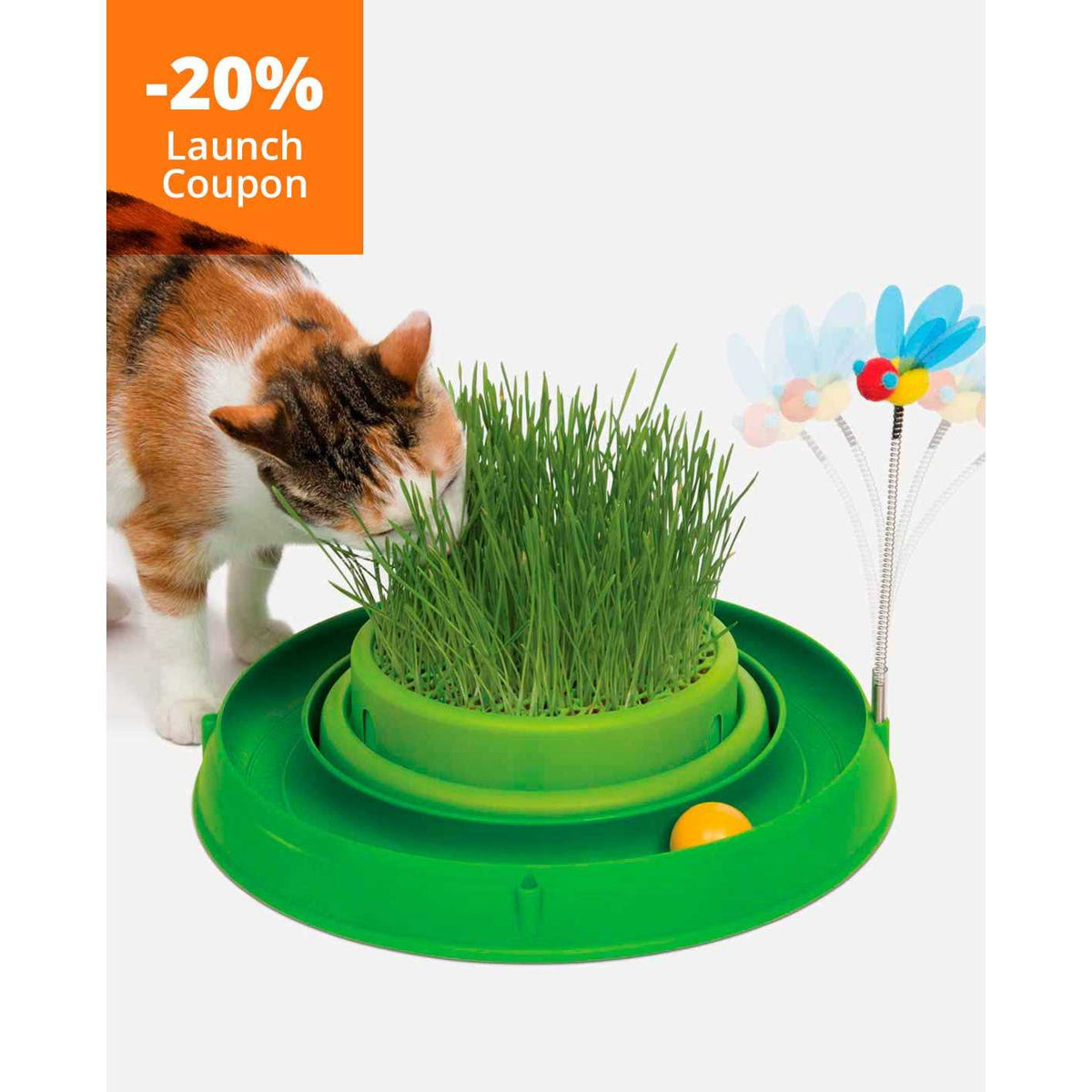 Circuit Ball Cat Toy D7947