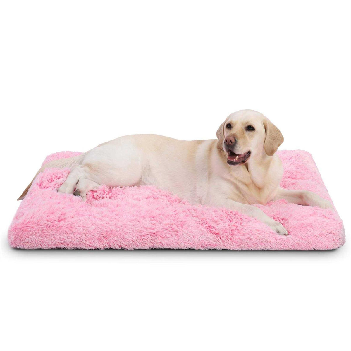 Washable Dog Bed A20473